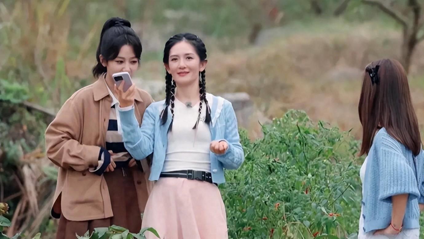 张子枫喊话杨紫赶紧邀请我去《美好生活》,杨紫的回复让人笑翻