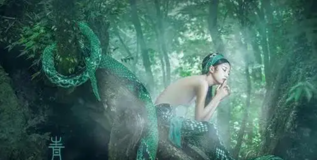 梦境解析，我为何会梦到一条大莽青蛇？