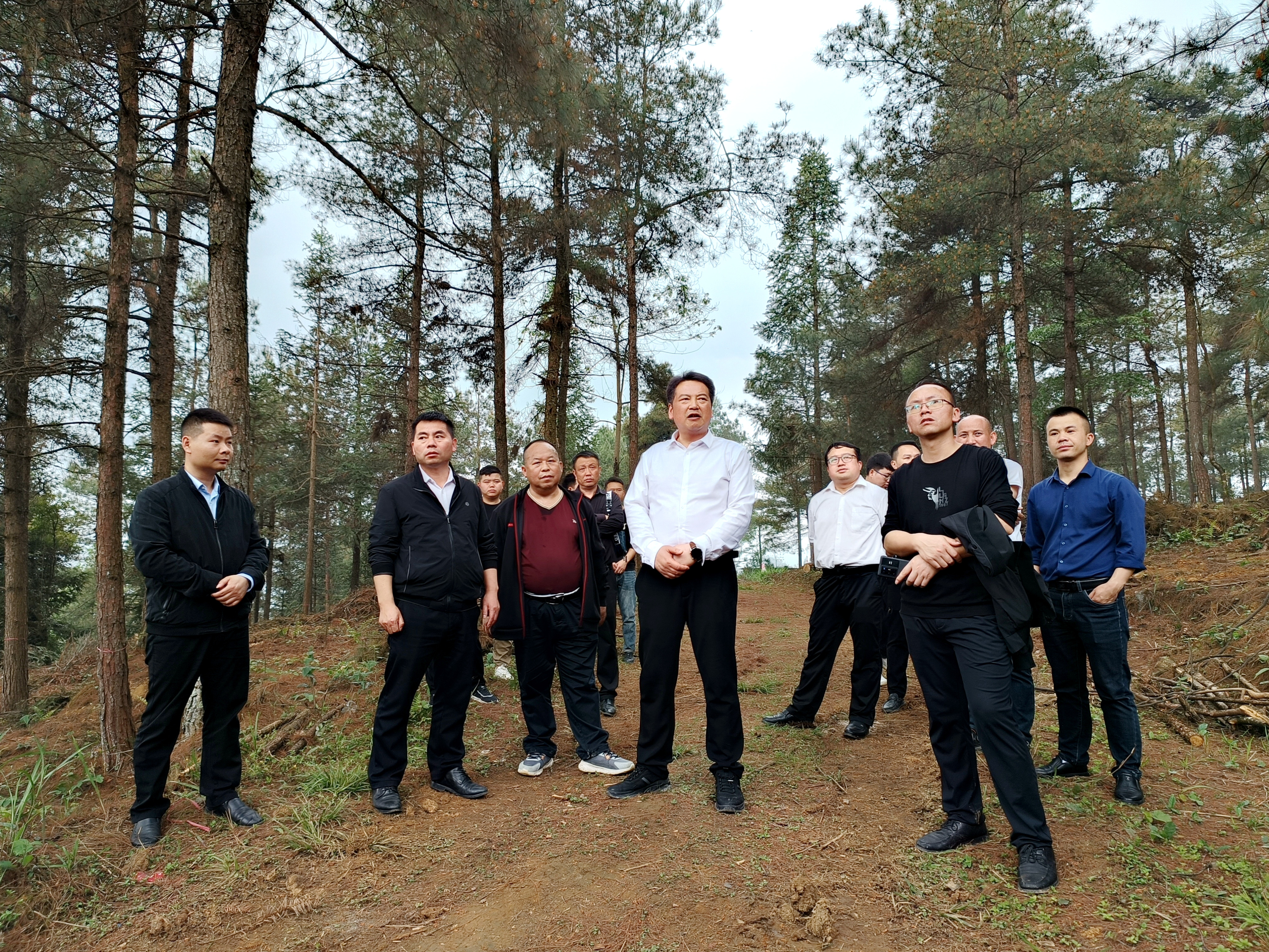 麻江县委书记唐光宏调研督导高标准农田建设 国储林项目建设