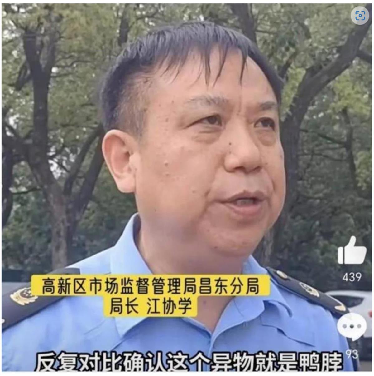 视频截图 老鼠.png