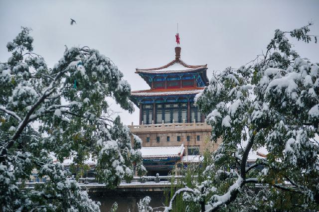 雪後的濟南瞬間回到濟南府,一起來看雪雪雪