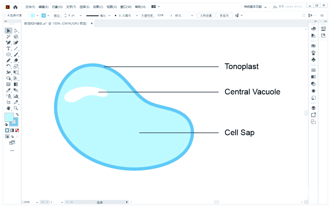 探索植物细胞器:液泡与叶绿体的绘制详解