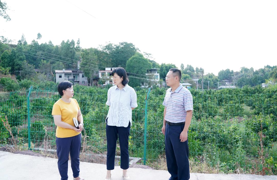 潼南法院院长李春燕到宝龙镇指导抗旱工作