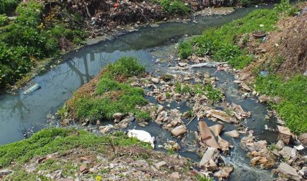 农村生活污水特征及主要污染源