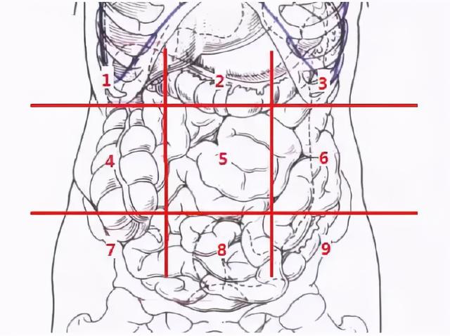 不同位置的腹痛代表了什么?