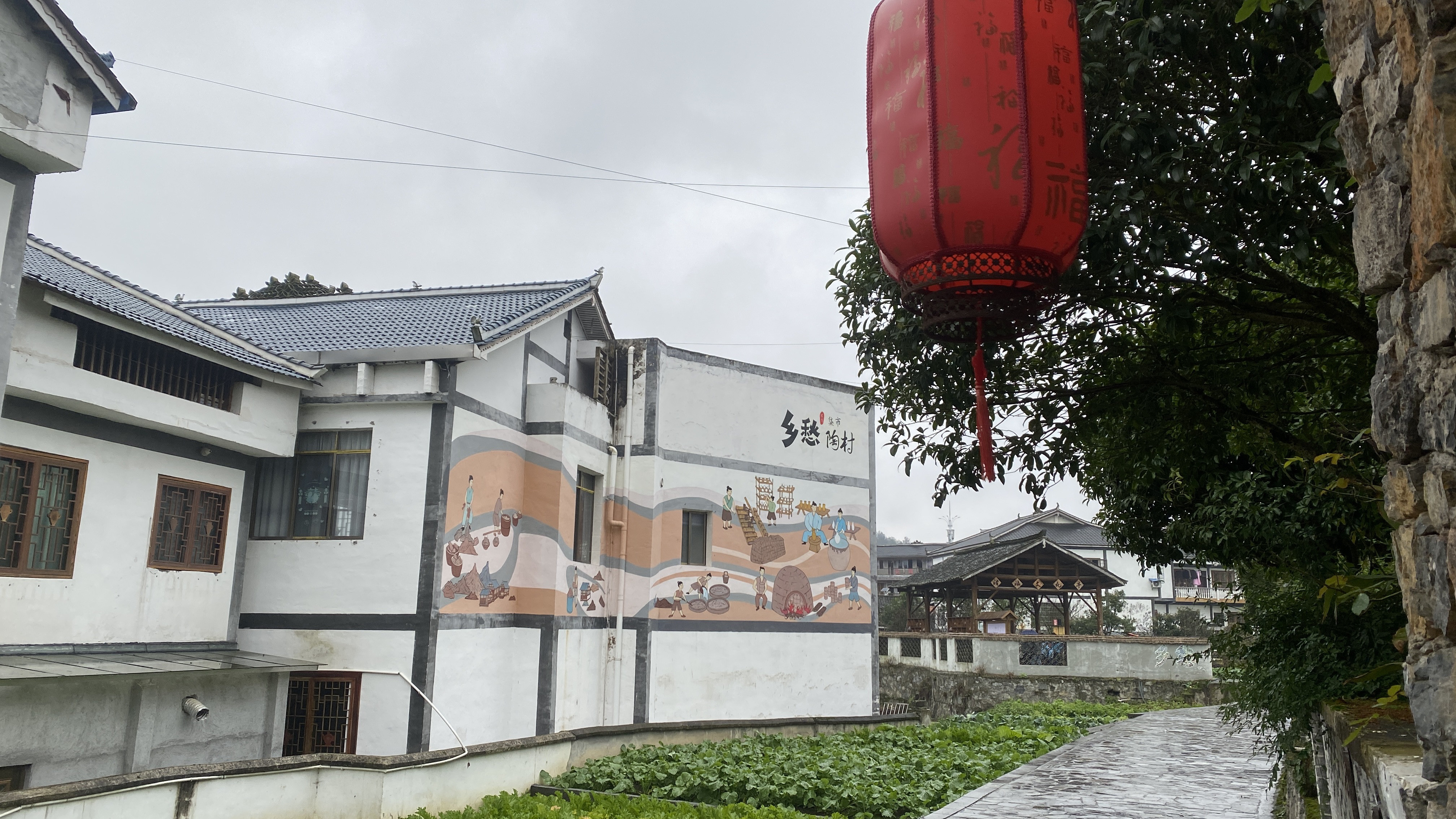 视频|绿色花茂,自在农家