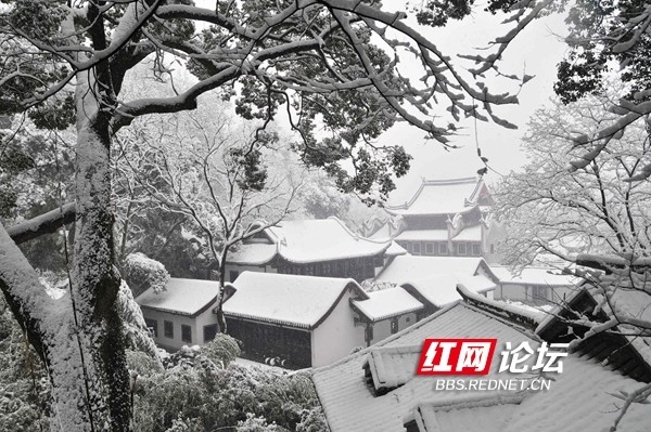 岳麓书院雪景图片