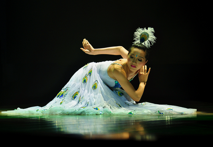 孔雀开屏为了求偶繁衍,孔雀舞象征爱情,孔雀公主杨丽萍没有后代