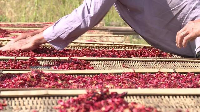 武寧縣魯溪鎮雙新村:生態蔥蔥綠綠,日子紅紅火火