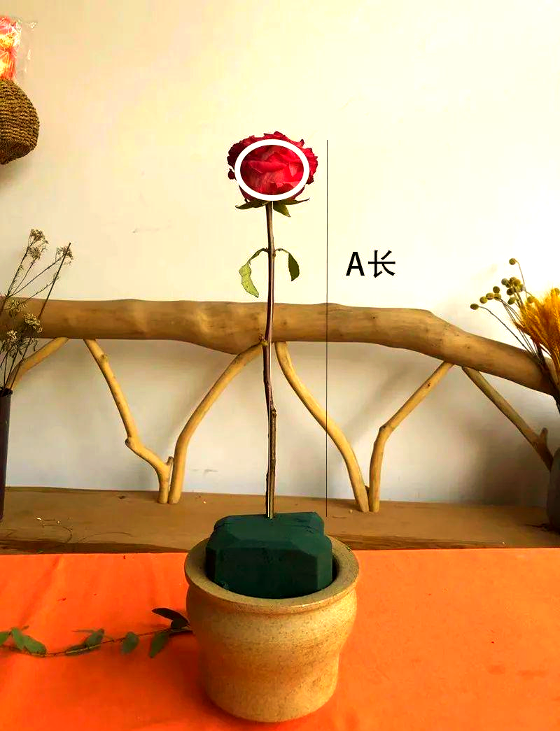 西式三角形插花技巧详解