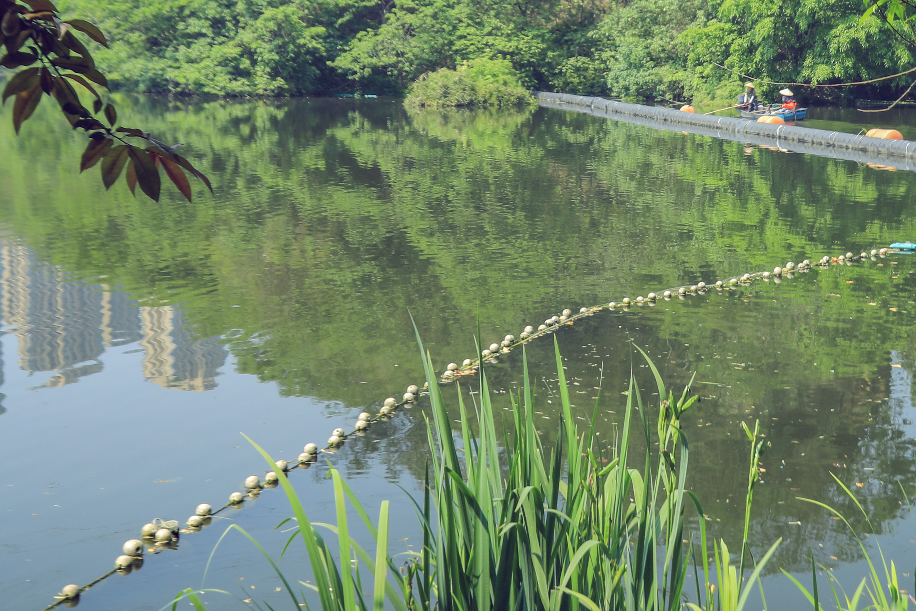 彩云湖国家湿地公园图片