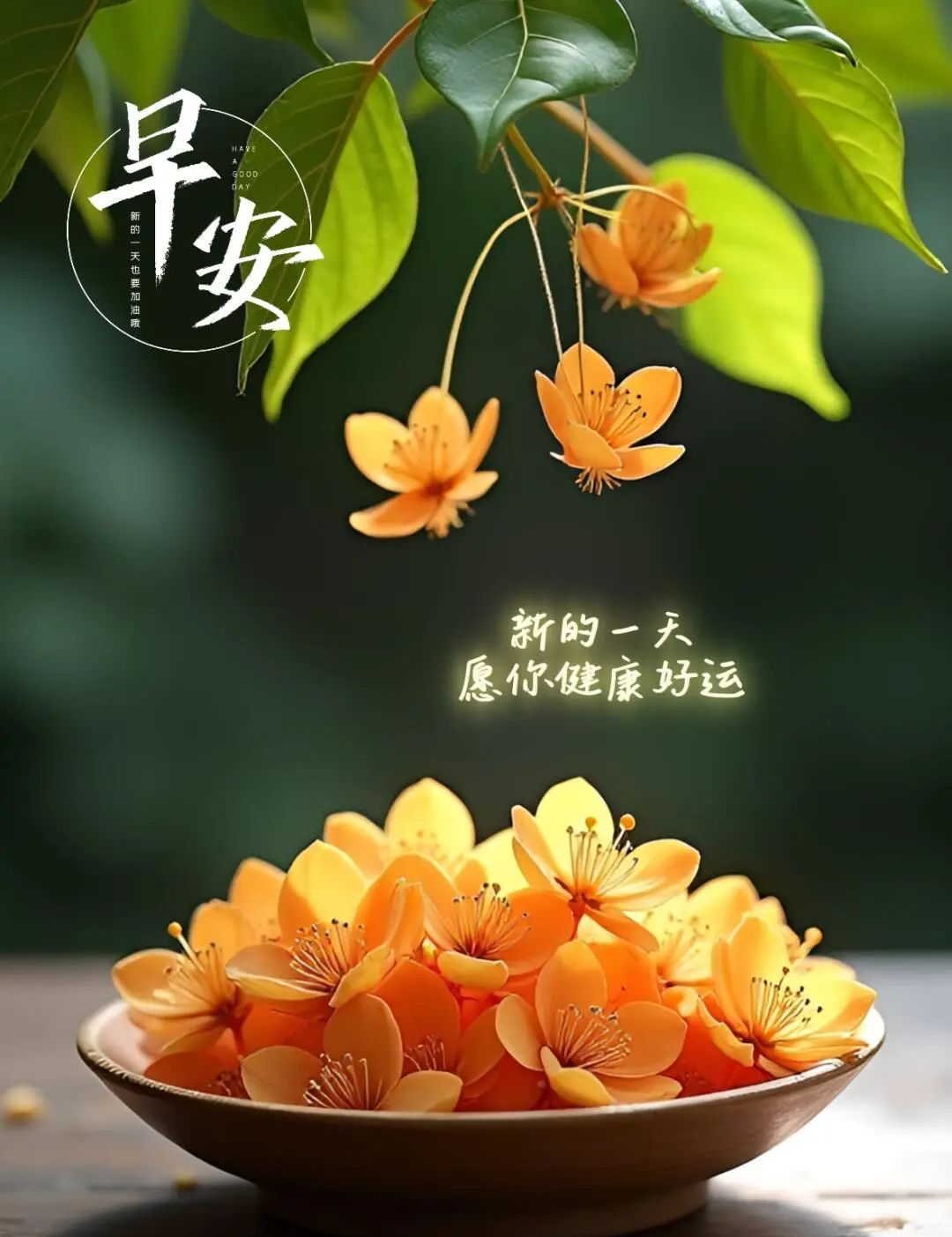 多张冬日风景早上好问候图片,美图与动图集锦