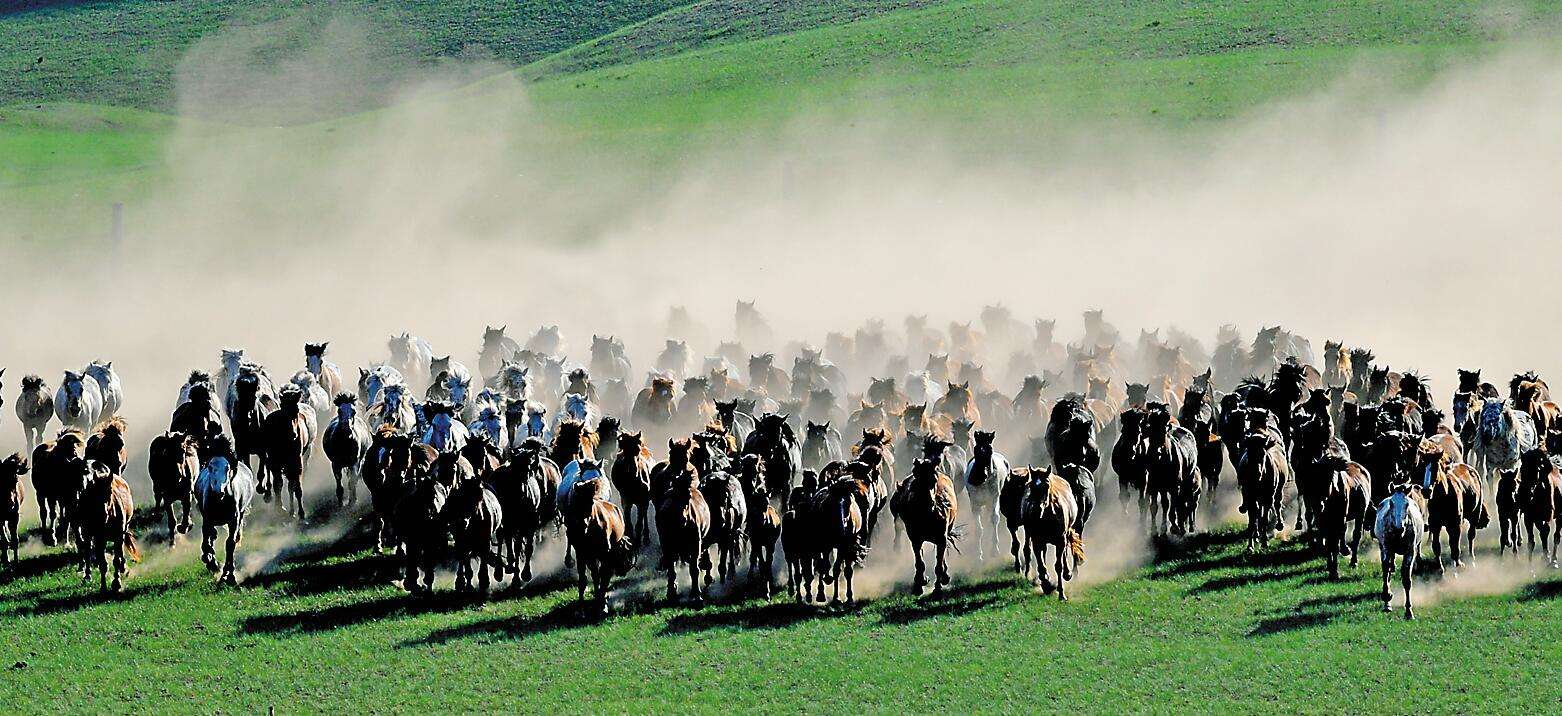秦之始君秦非子,国家战略核武器的研发制作者