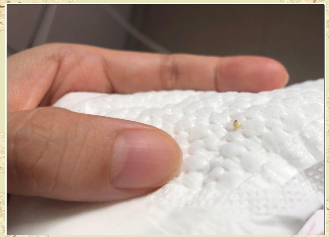 这是今年11月在长沙发生的一起引人注目的事件,涉及护舒宝品牌