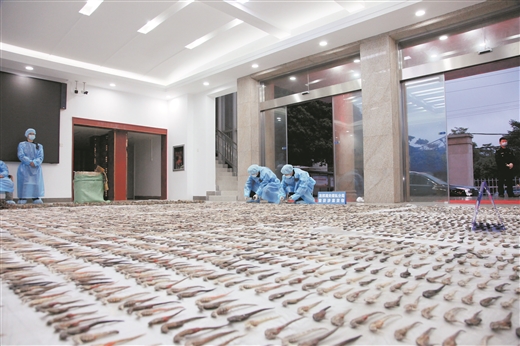 龙邦海关查获一批珍贵动物制品 案值约120万元