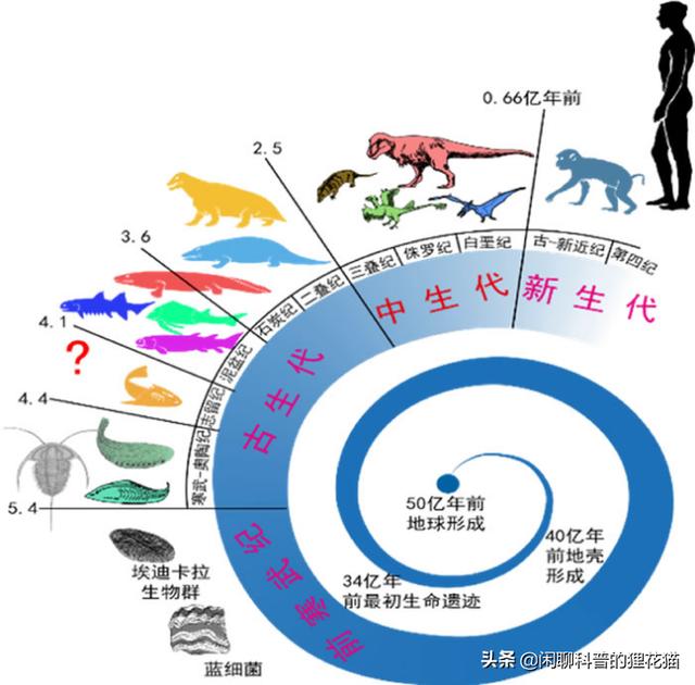 清点史前海洋十大巨兽，从寒武纪走过始新世，每个时代顶级捕食者（远古时代的海洋生物大百科）