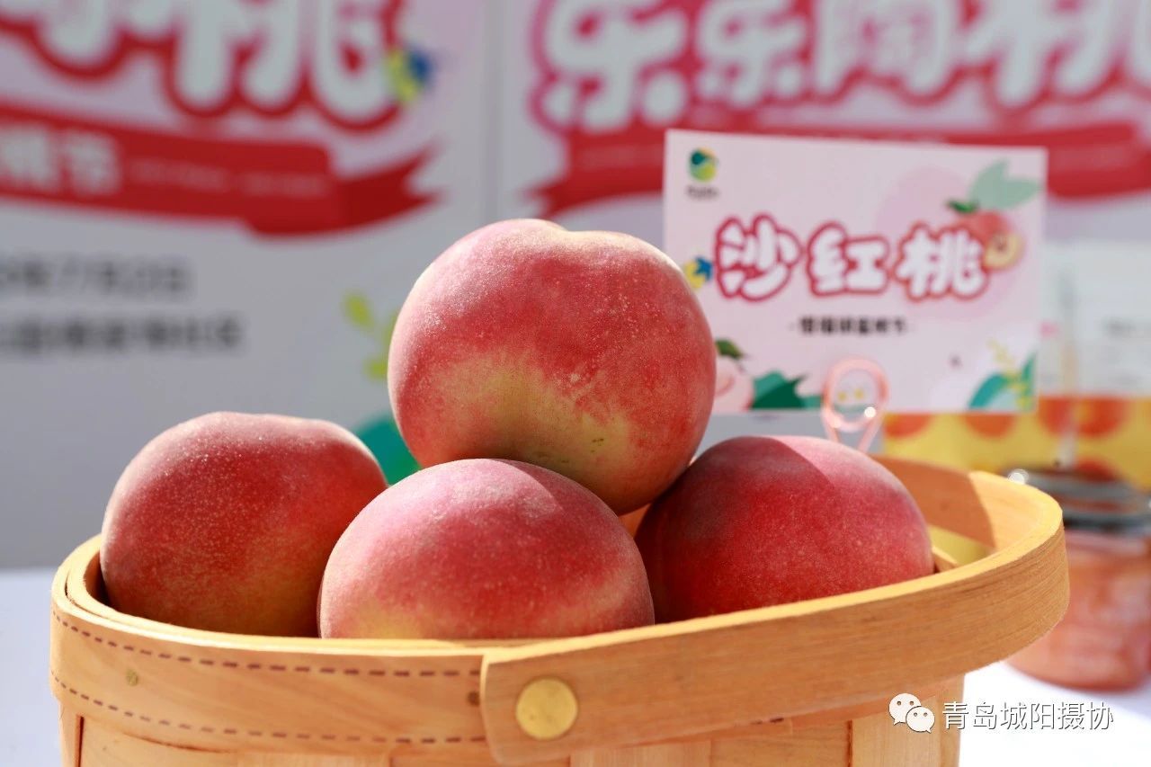 惜游记之"惜福有你 乐乐陶桃"惜福镇蜜桃节香甜开幕