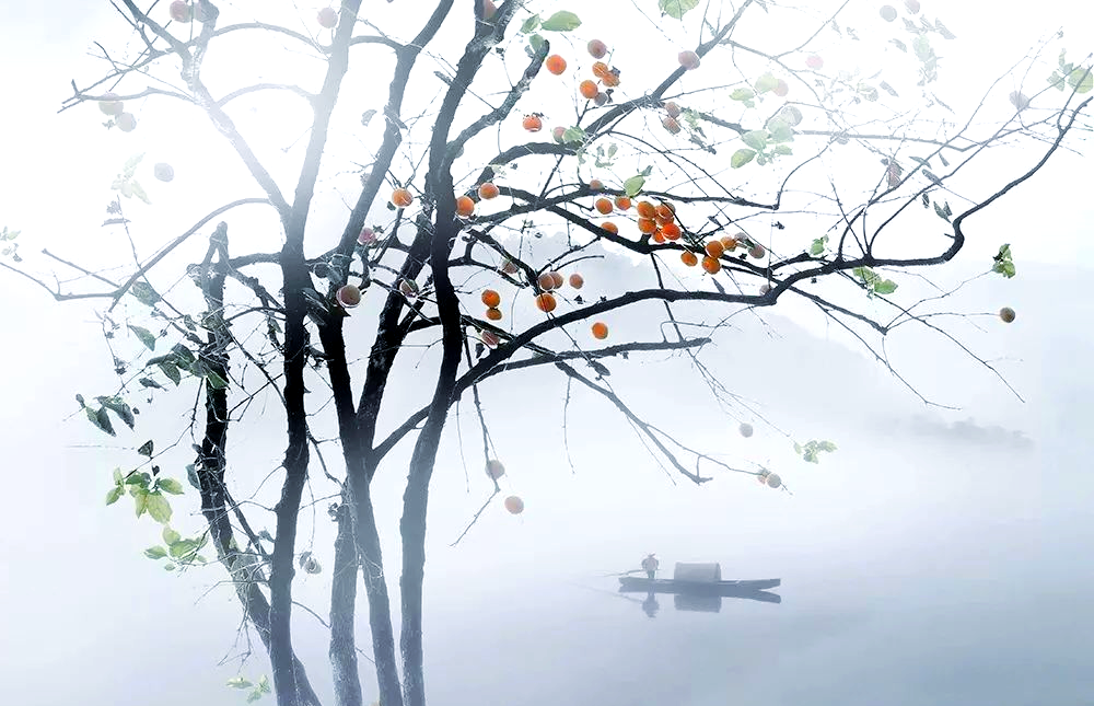 画意摄影:探寻摄影与绘画的完美结合