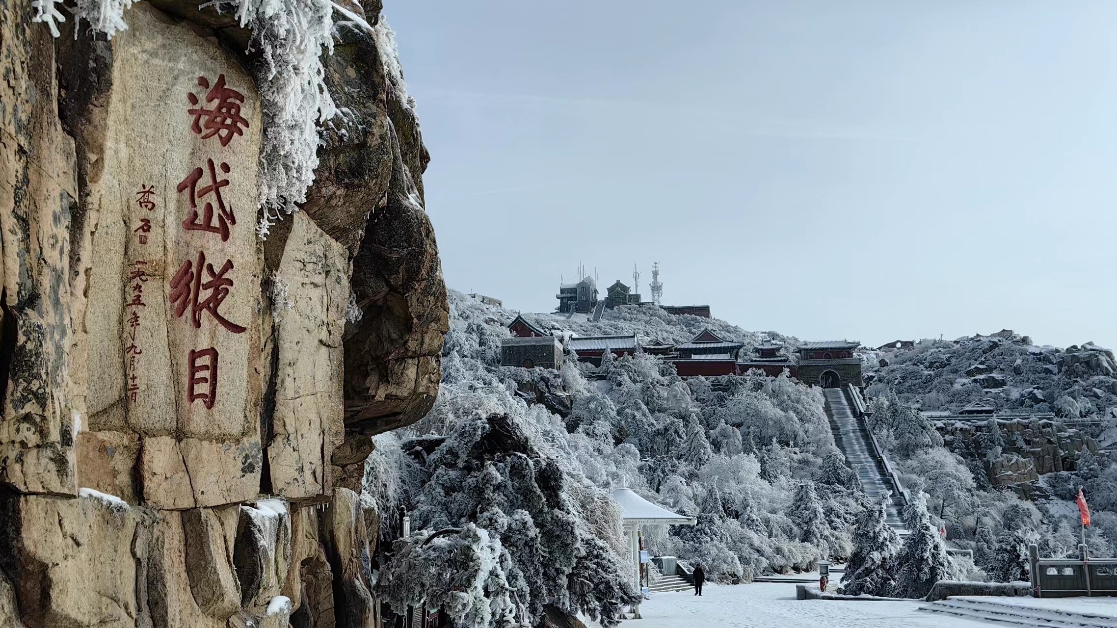 泰安雪景图片