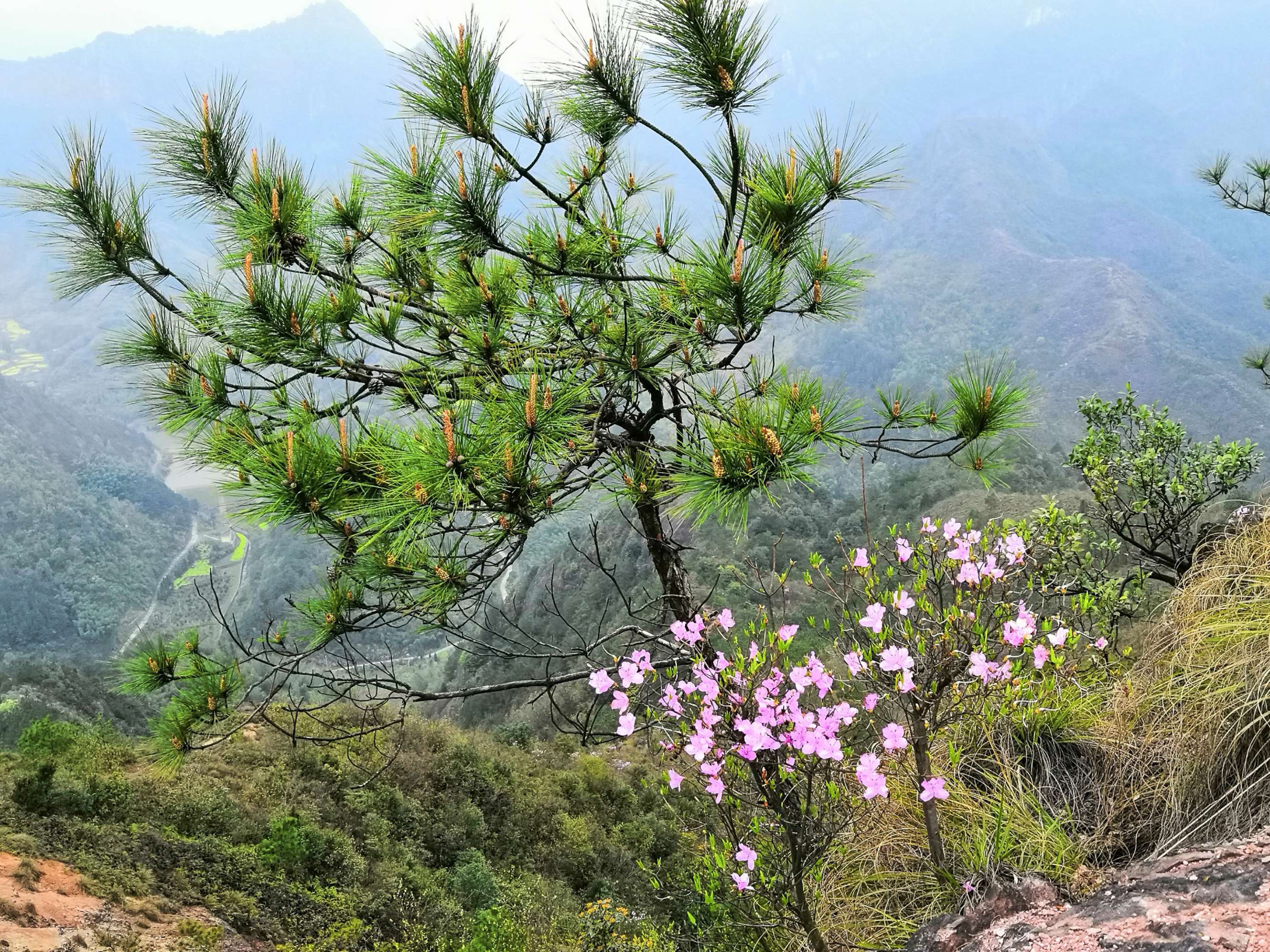 龙游乌石山图片