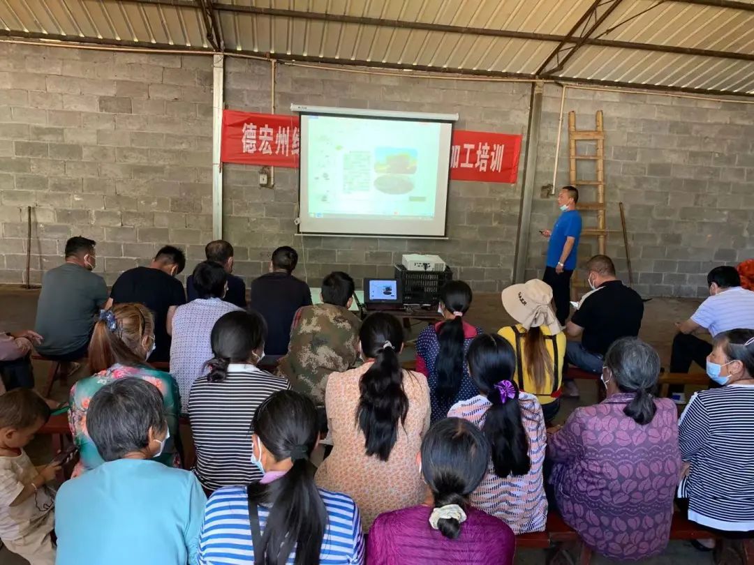 梁河县杨新洲:情暖根与土 同奔致富路