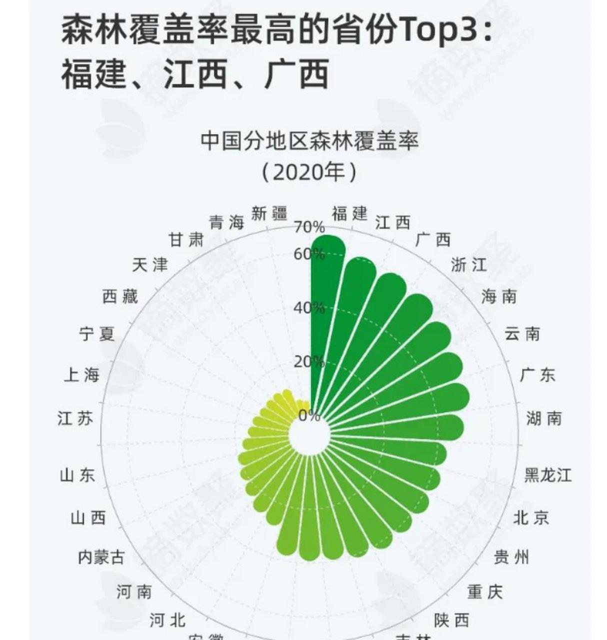 中国森林覆盖率2050图片