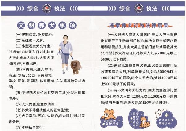 杭州市建德市钦堂乡:文明规范养犬 助力环境整治