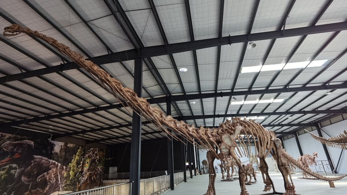 "世界最大恐龙化石"在成都崇州天演博物馆展出