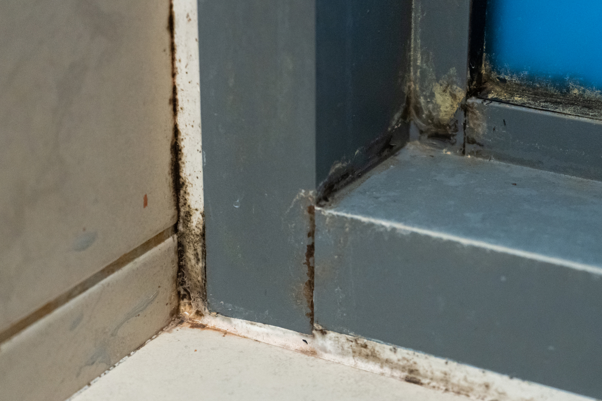 海棠角和45度角的区别?45度海棠角图片