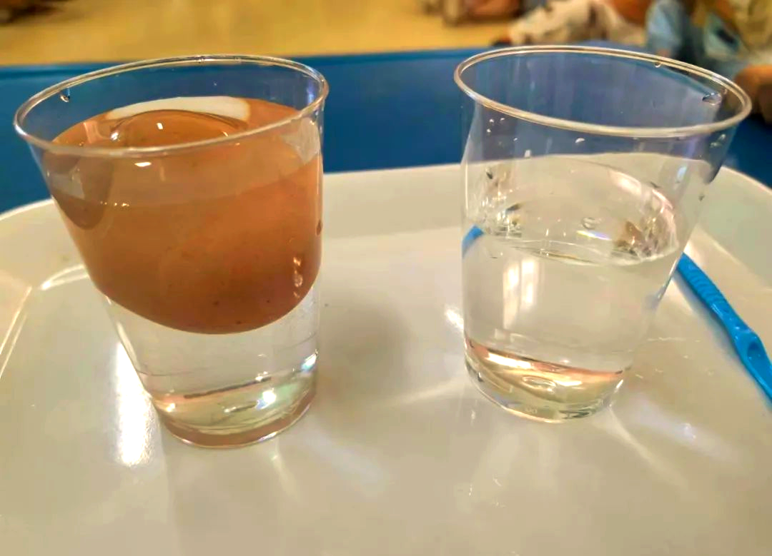 鸡蛋在水中漂浮的奇妙现象