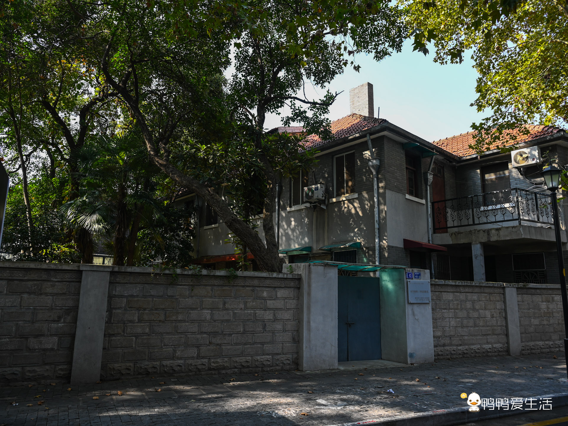 南京赏秋|不输颐和路,梧桐掩映下小众打卡地梅园新村民国建筑群