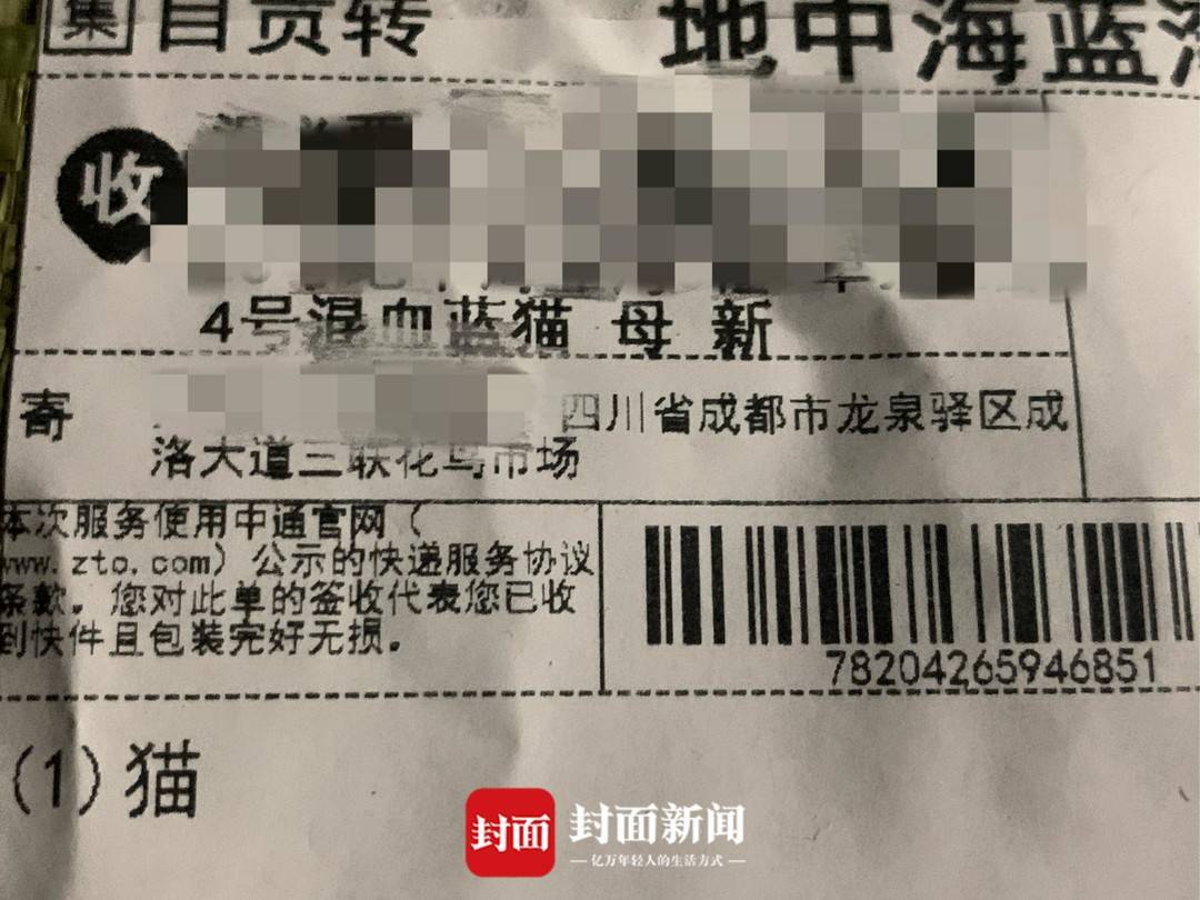 160余只猫狗幼体被活体运输 相关部门已介入!