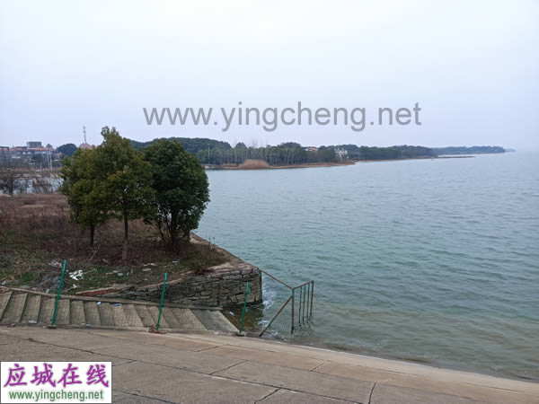 应城杨河镇短港水库