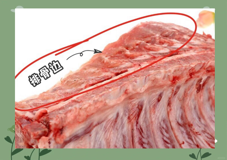 排骨购买指南:中排,前排,后排的区别与选择