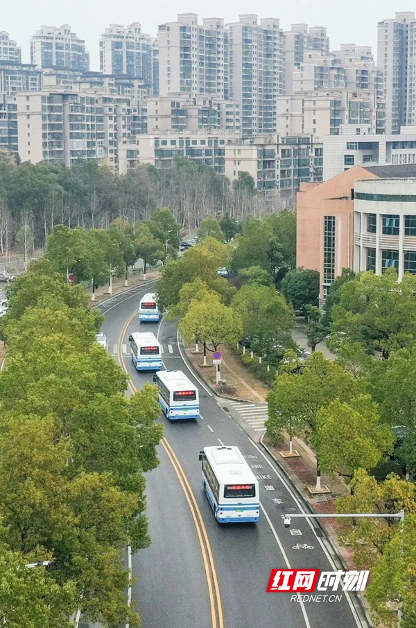 跑出速度与温度,看现代化金阳新城强势崛起