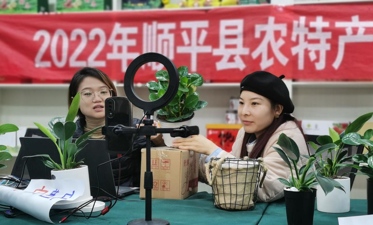 顺平县供销社农特产品供应链直播基地带企直播火热进行中
