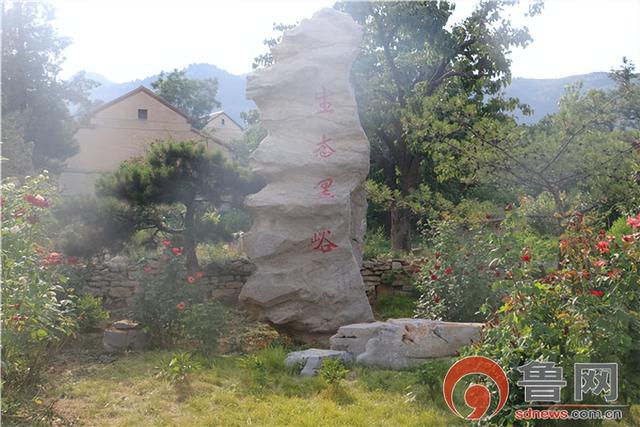 遍地都是百年老树,莱芜黑峪村,真的很原生态!