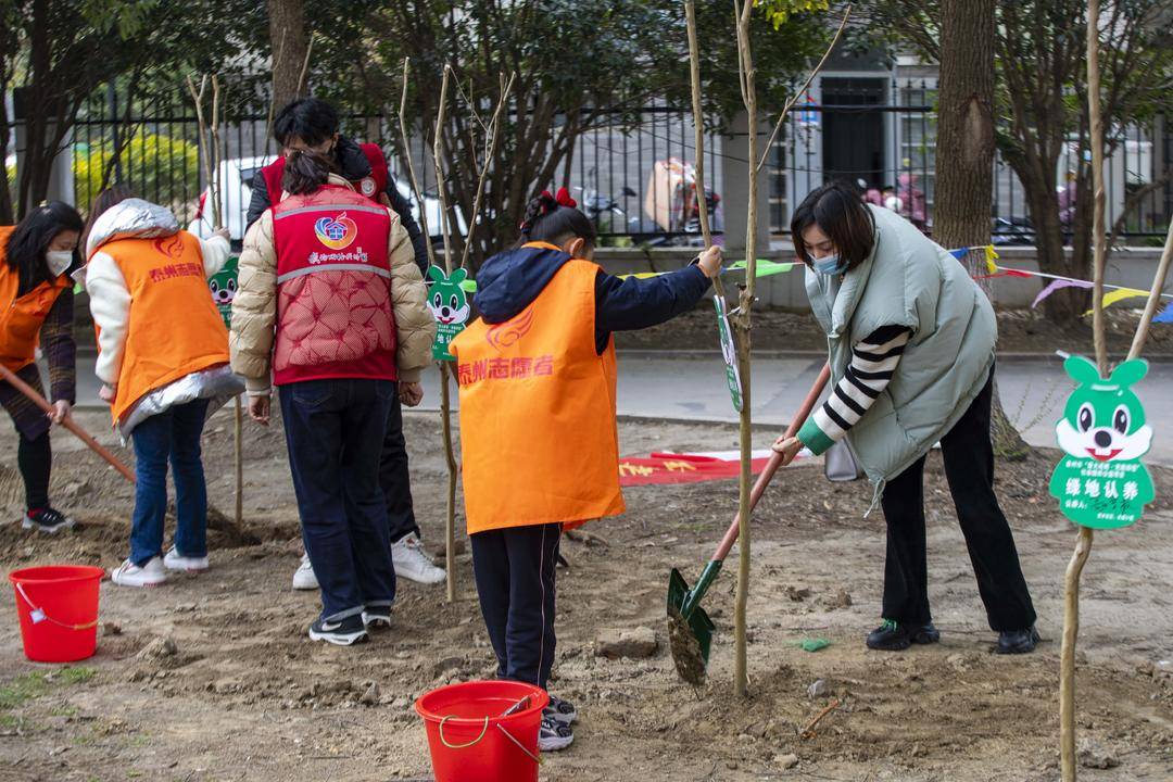 组图|江苏泰州:植绿护绿 美化家园