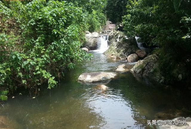 原始热带雨林,海南屯昌南吕岭探险旅游区攻略
