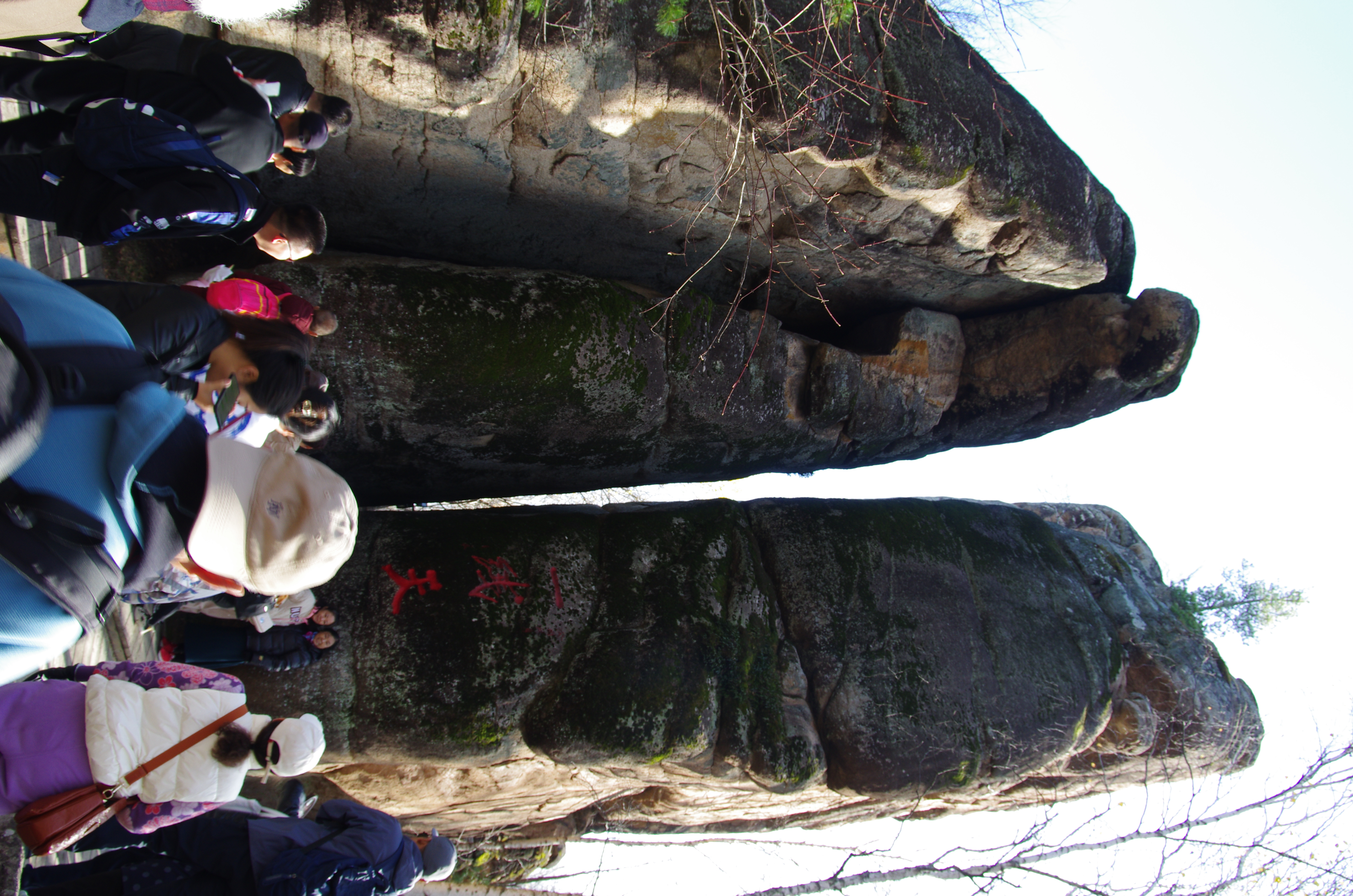 汤旺河石林风景区图片图片