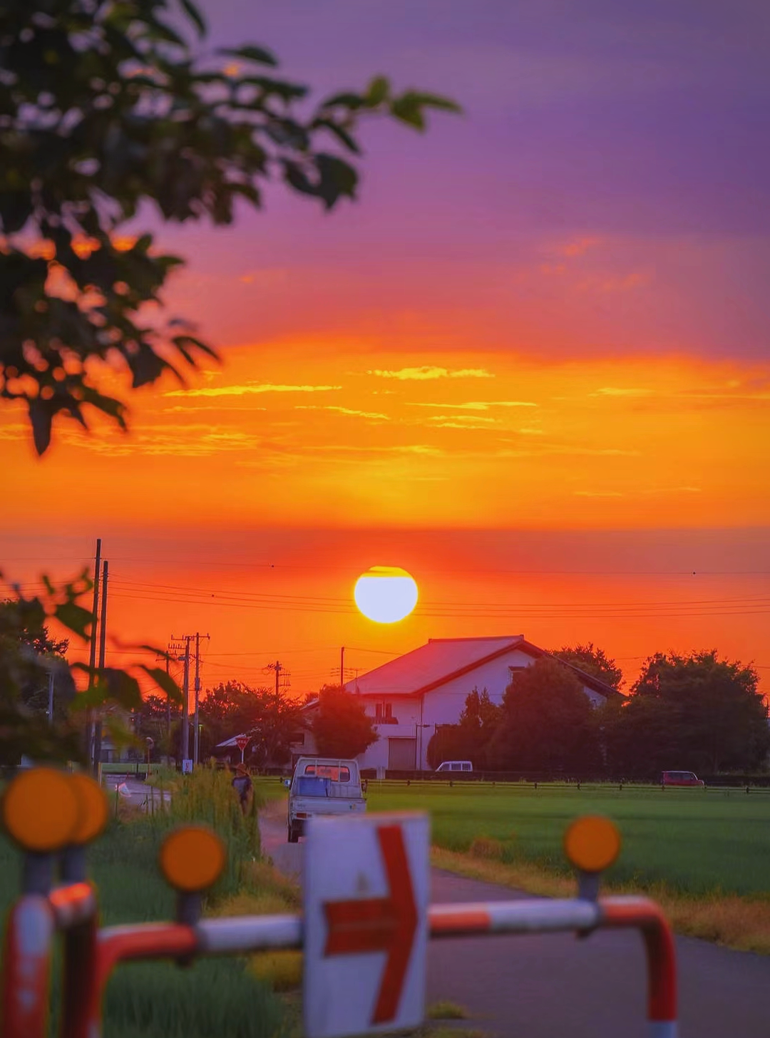 夕阳红:人生不可或缺的风景与智慧