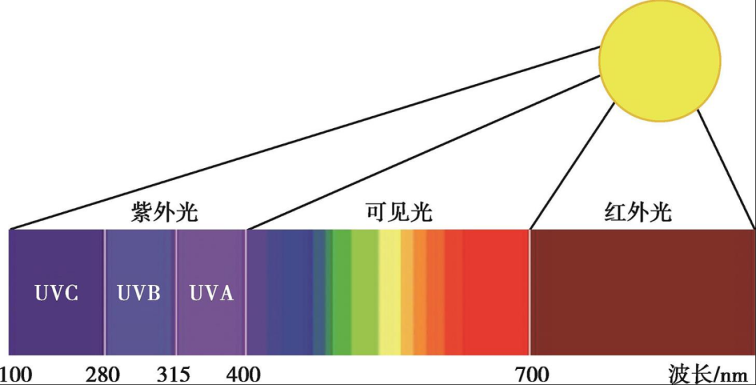 (v)/波長(入) 進行分類,380 nm至700 nm為人類可見光,700