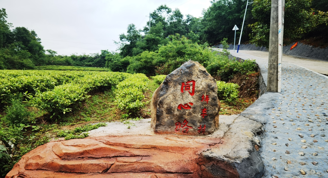 丰田乡坪丰村:全面部署"同心文化载体"建设工作 助力乡村振兴