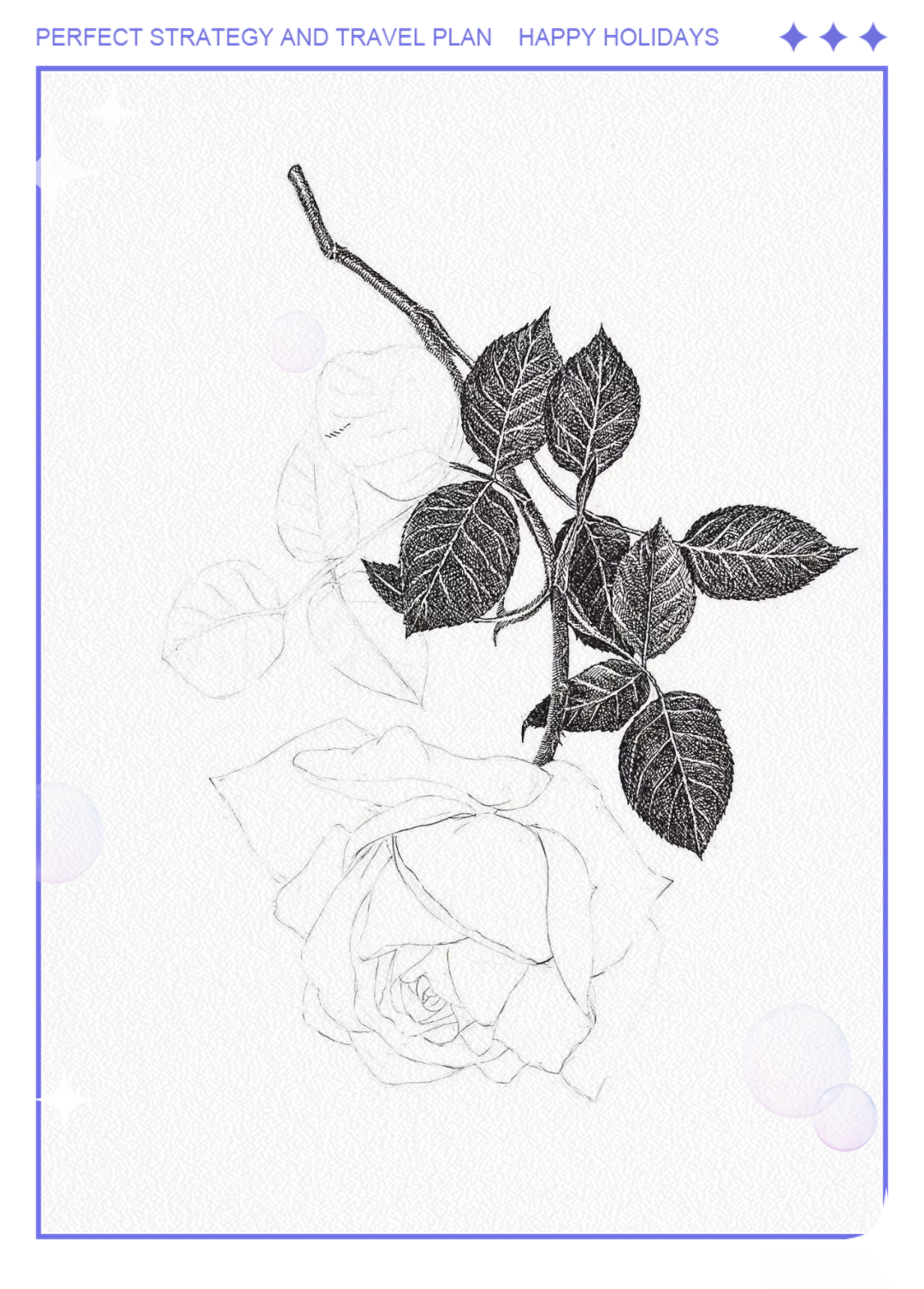 8小时画一朵玫瑰花,钢笔与针管笔的完美结合