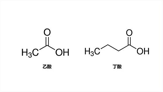 最简单的脂肪酸结构式图片