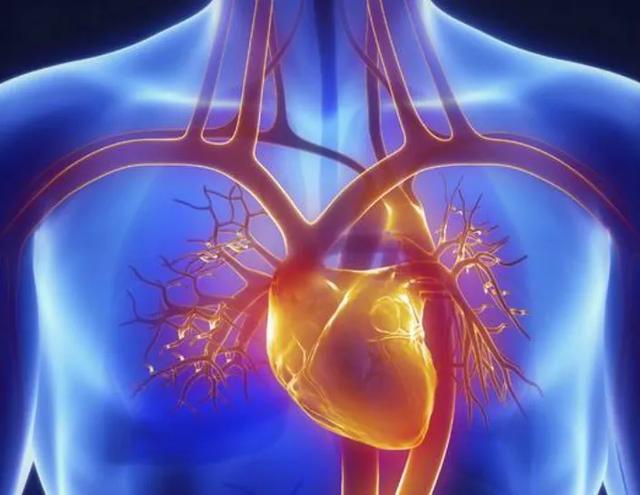 "世"说新语之心肝宝贝:"心"和"肝"为什么是我们的宝贝?