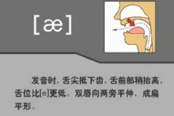 e发音的单词有哪些