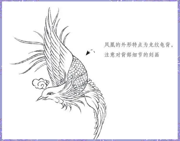 凤凰与牡丹纹样的精细绘制与结合艺术