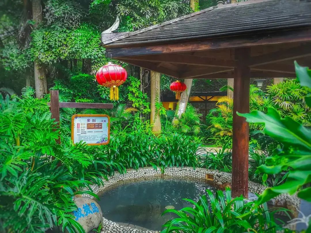 零下3°是怎样的体验?下大明山山泡网红温泉暖到爽|广西旅游年卡