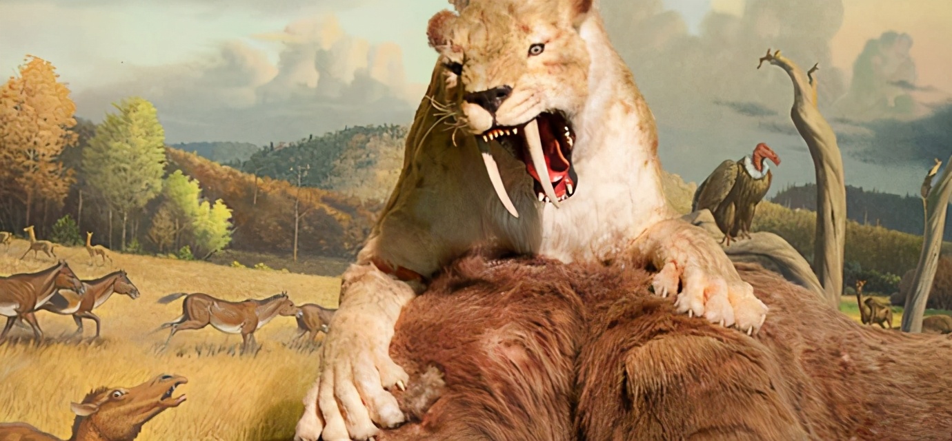 史前剑齿虎与现代老虎相比,优点和缺点分别是什么?